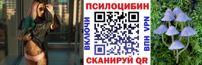 где найти наркотики  Артём  Псилоцибиновые грибы MAGIC MUSHROOMS 